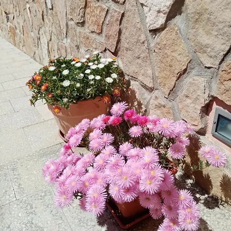 Casa De Grazia Vakantiehuis Tarquinia